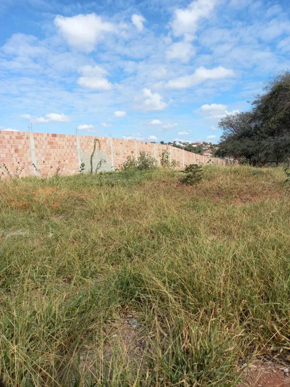 LOTE Á VENDA NO BAIRRO TREVO COM 1000M²! - Foto 3