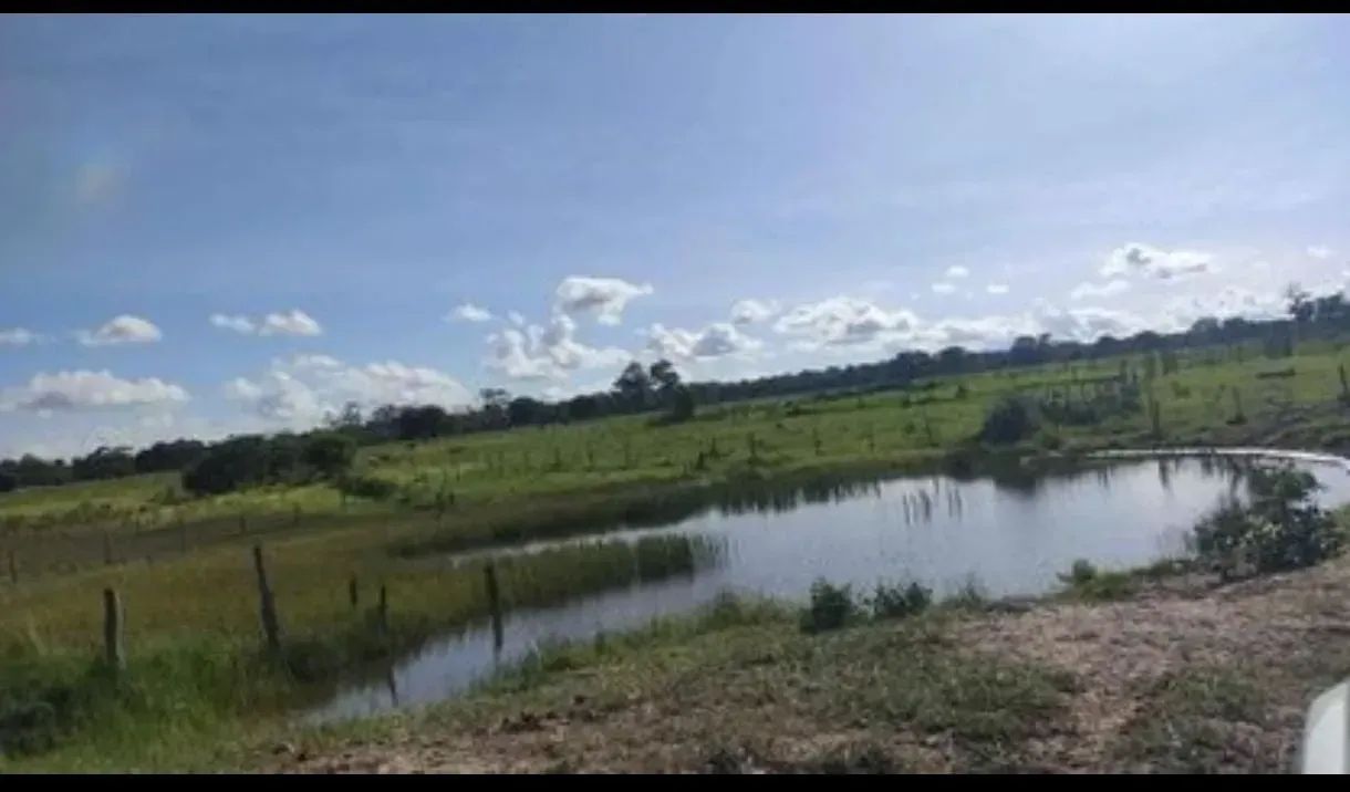 COD321- Fazenda 102 HECTARES- ROCHEDO/MS. - Foto 4