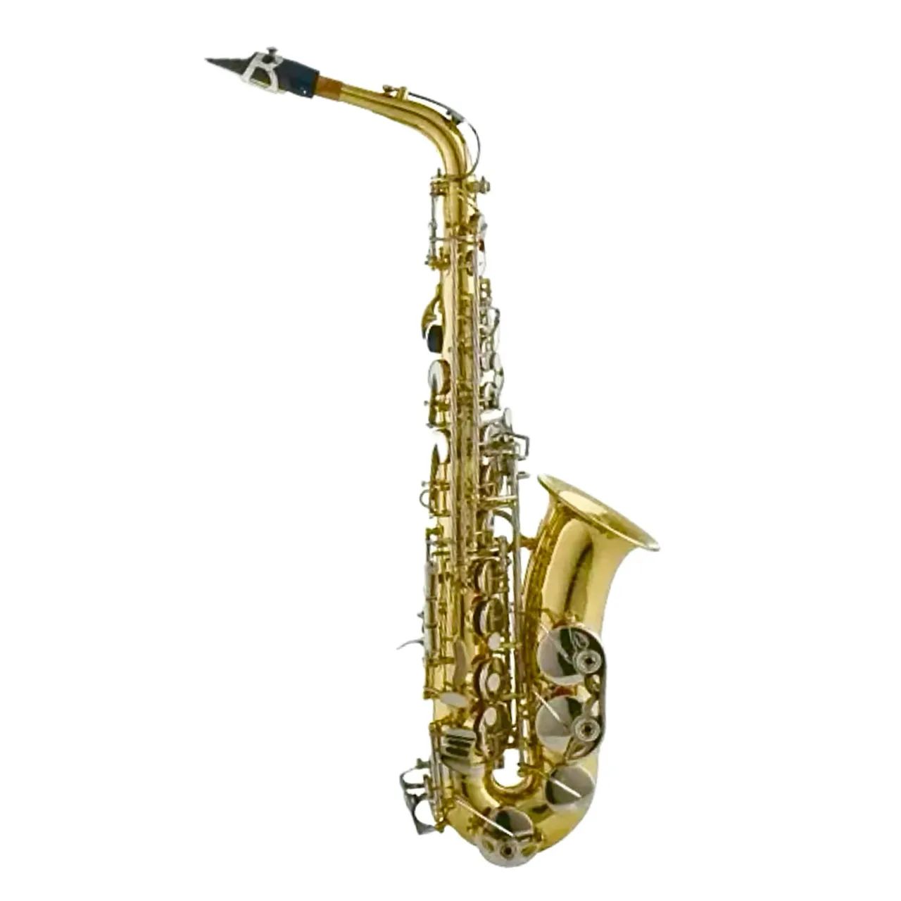 SAX ALTO HOYDEN HAS-25LN - Foto 2