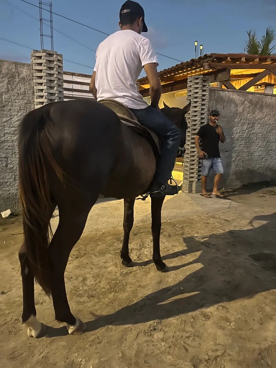 Potra Mansa de Cela  - Foto 3