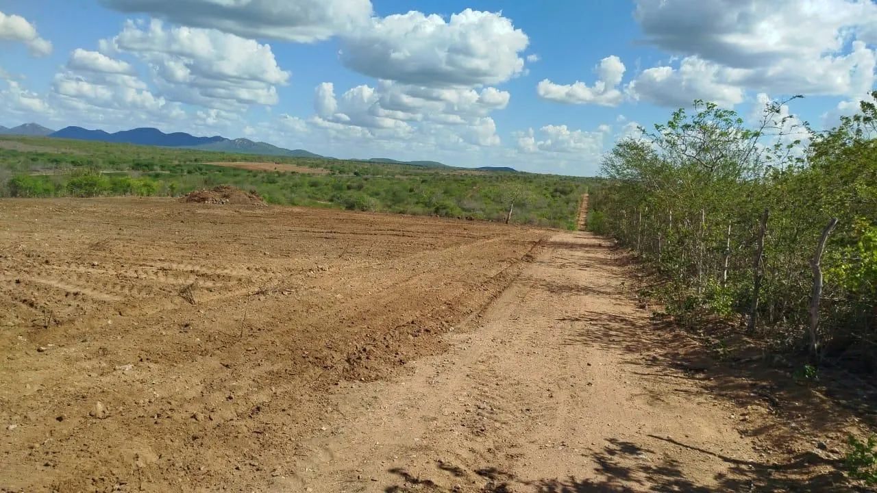Vendo área 16 ha em produção em Boqueirão PB  - Foto 4