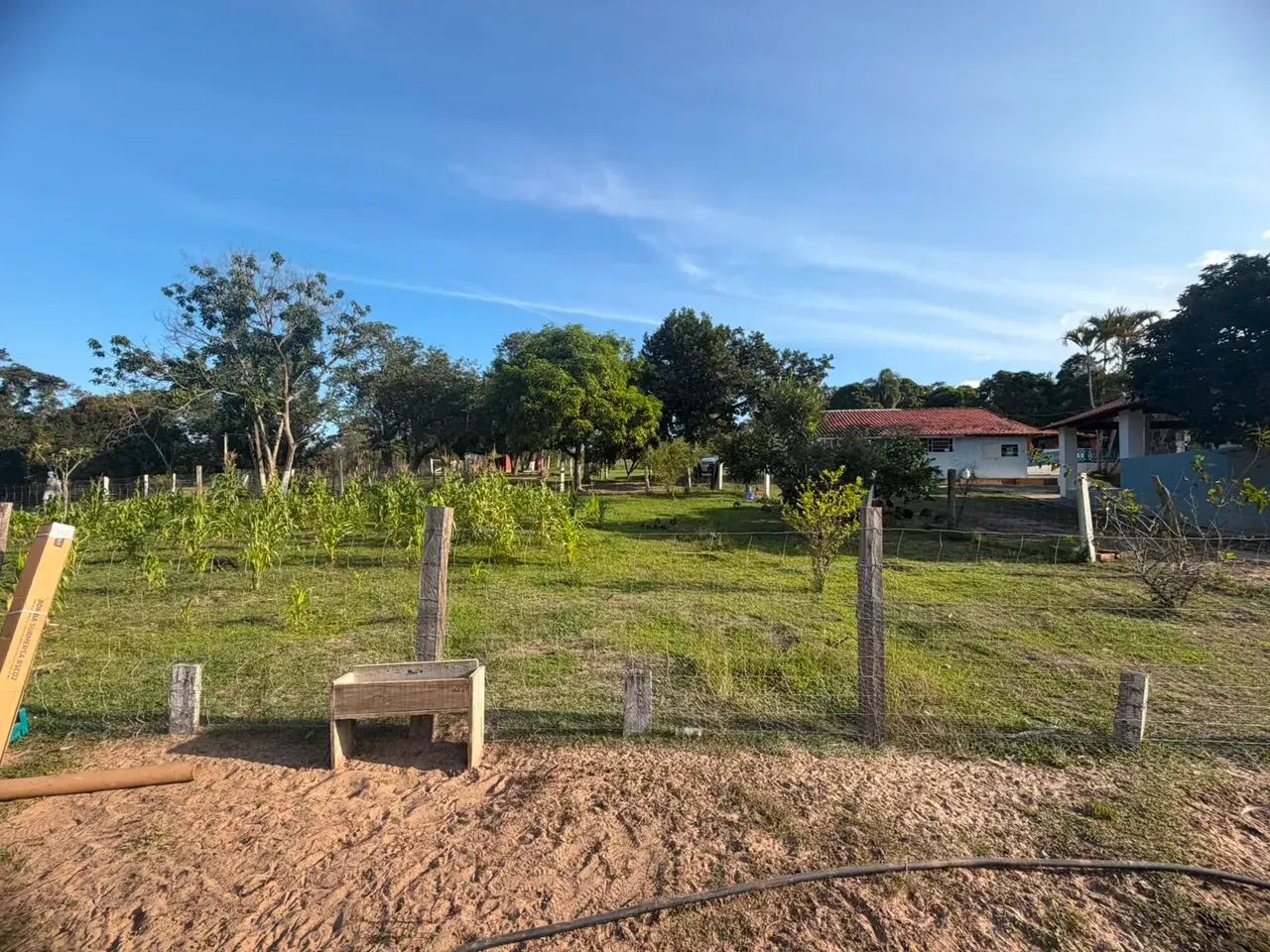 Sítio a venda Bofete/SP - Foto 4