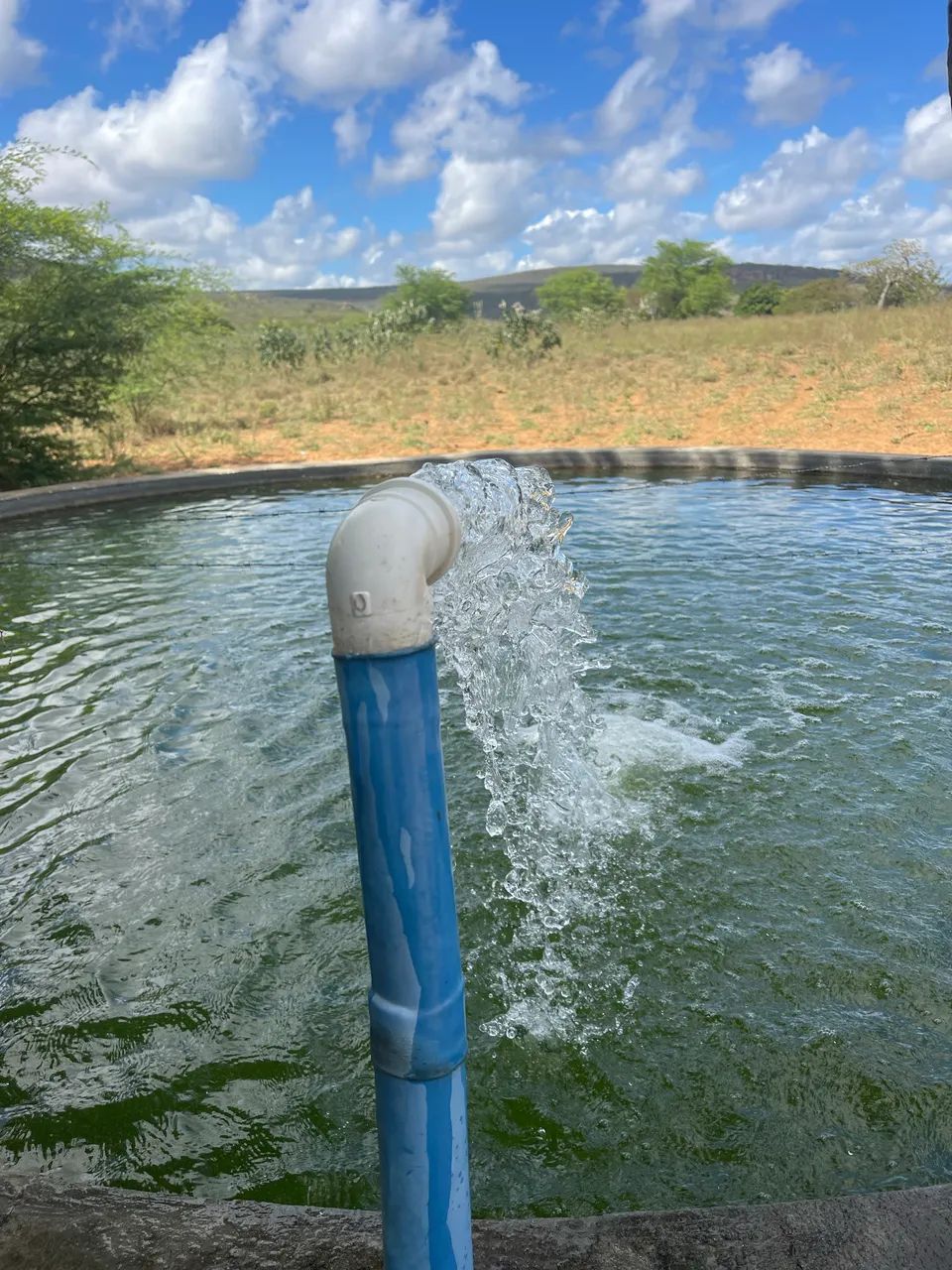 Fazenda em Jeremoabo/Ba - Foto 2