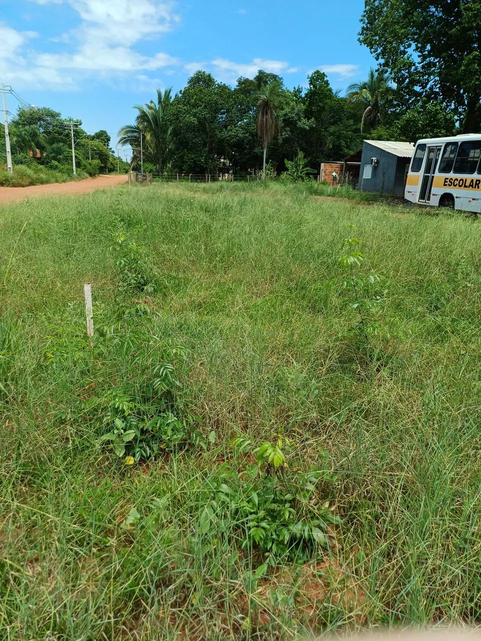 Foto - Campo Grande - Arnaldo Estevão Figueiredo