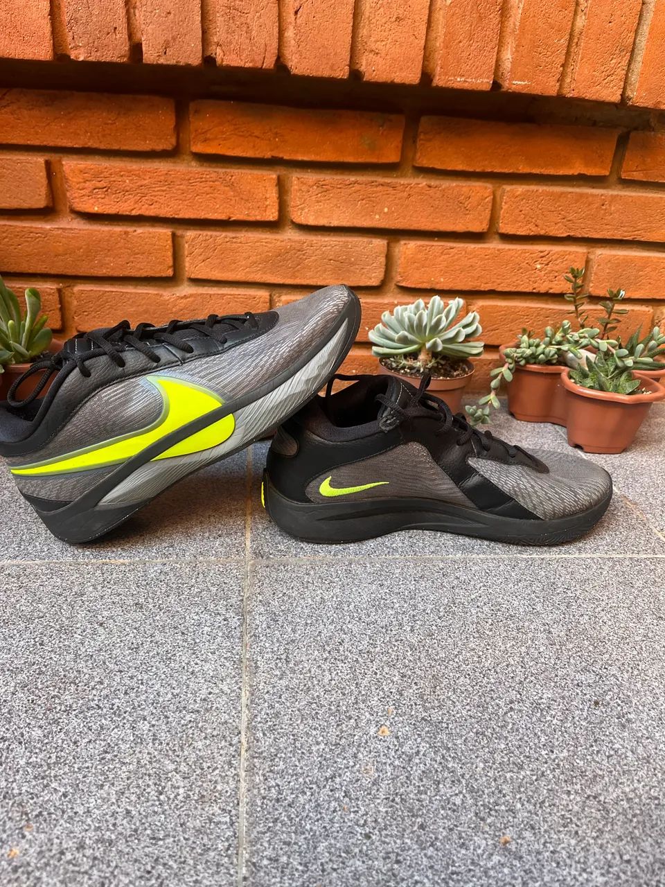 TENIS FREAKY 6 , 41