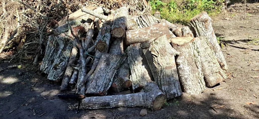 Madeira para Forno ou Caldeira  - Foto 6