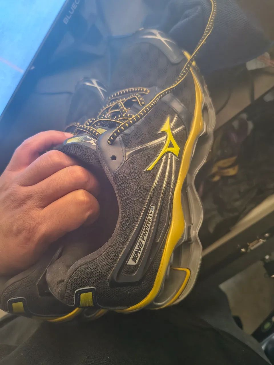 Mizuno prophecy 2 RP 42.5