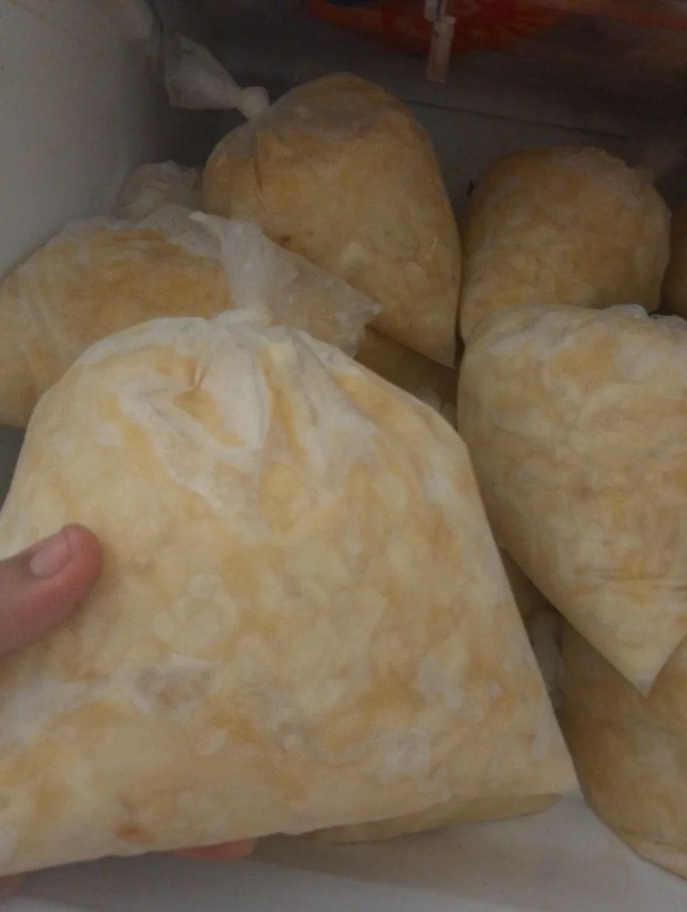 Polpas de cupuaçu de 1Kl por 10 reais  - Foto 3