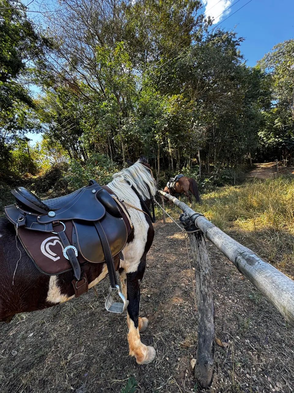 Carreto de cavalo