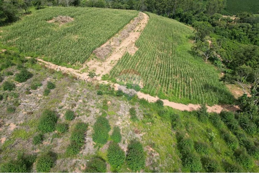 Fazenda à Venda em Caconde - SP - Foto 3