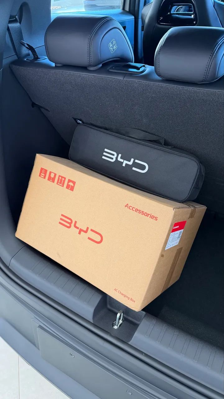BYD Dolphin GS (Elétrico) 2027 - Foto 4