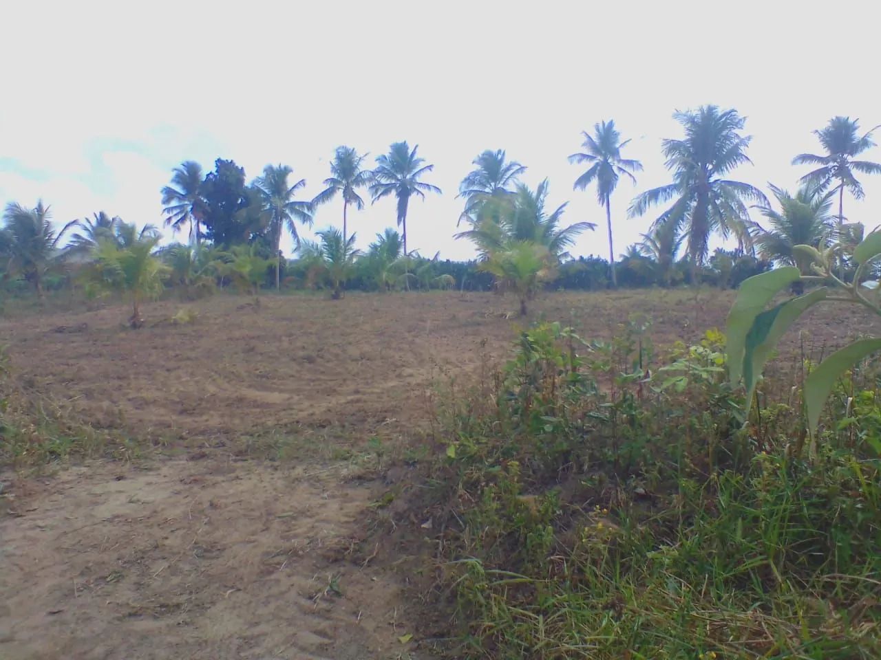 Lote a venda 787m² - Foto 2