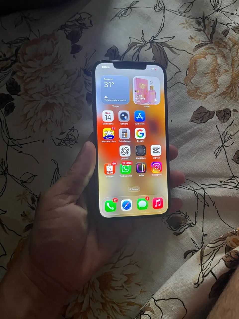 iPhone 12 Pro Max 