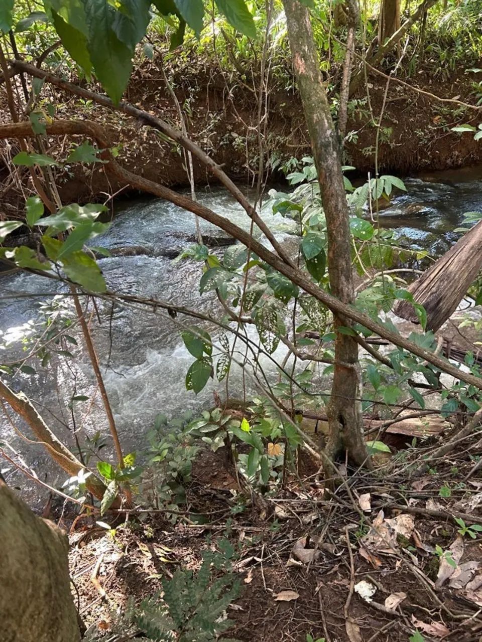 VENDO UMA CHÁCARA NO TAQUARUÇU GRANDE - Foto 3