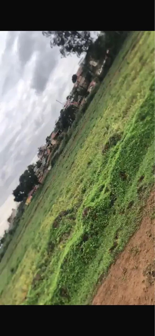 TERRENO SERRA AZUL MATEUS LEME - Foto 2