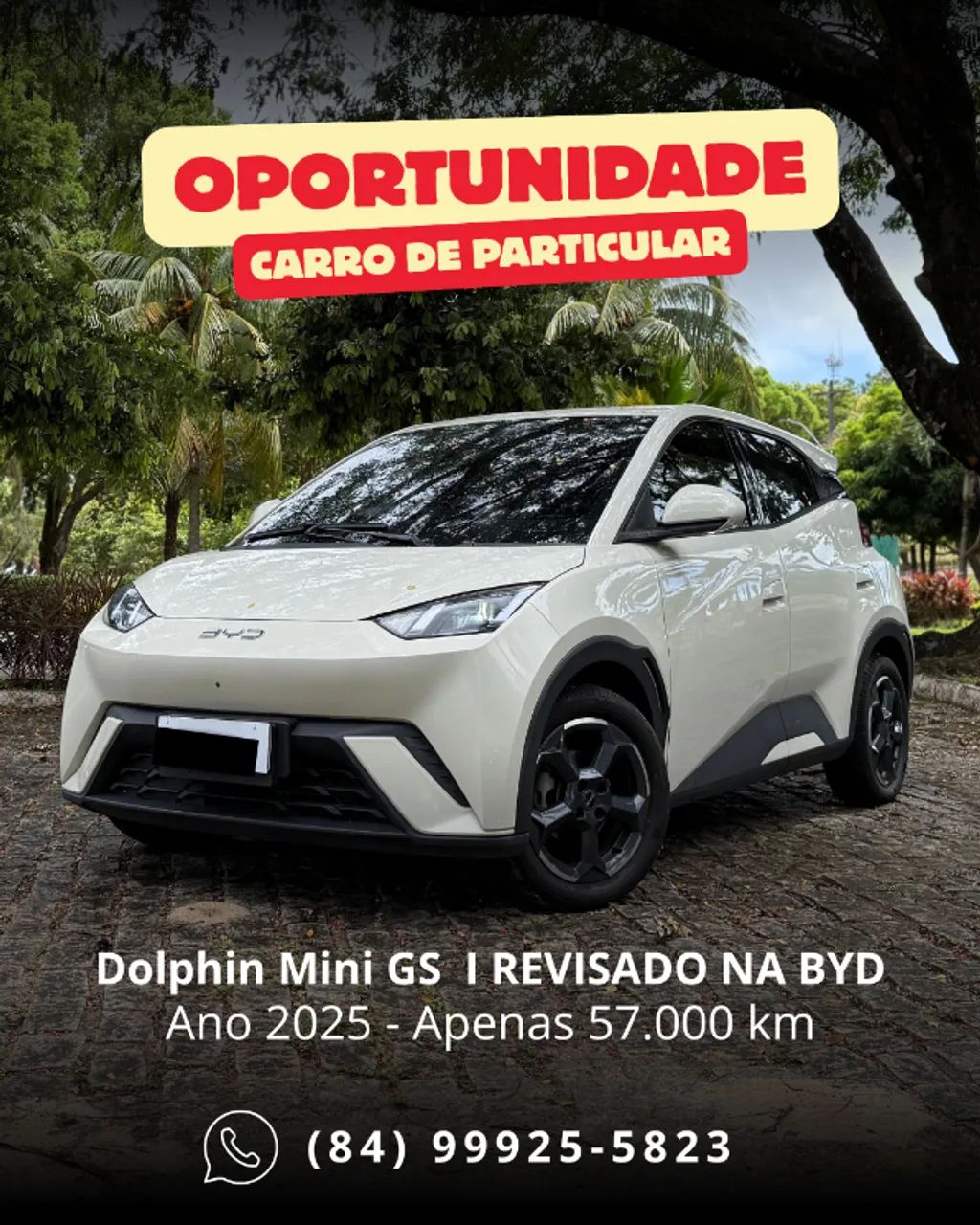 BYD Dolphin Mini (Elétrico) 2025