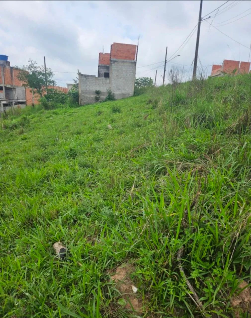 Foto - São Paulo - Recanto Campo Belo