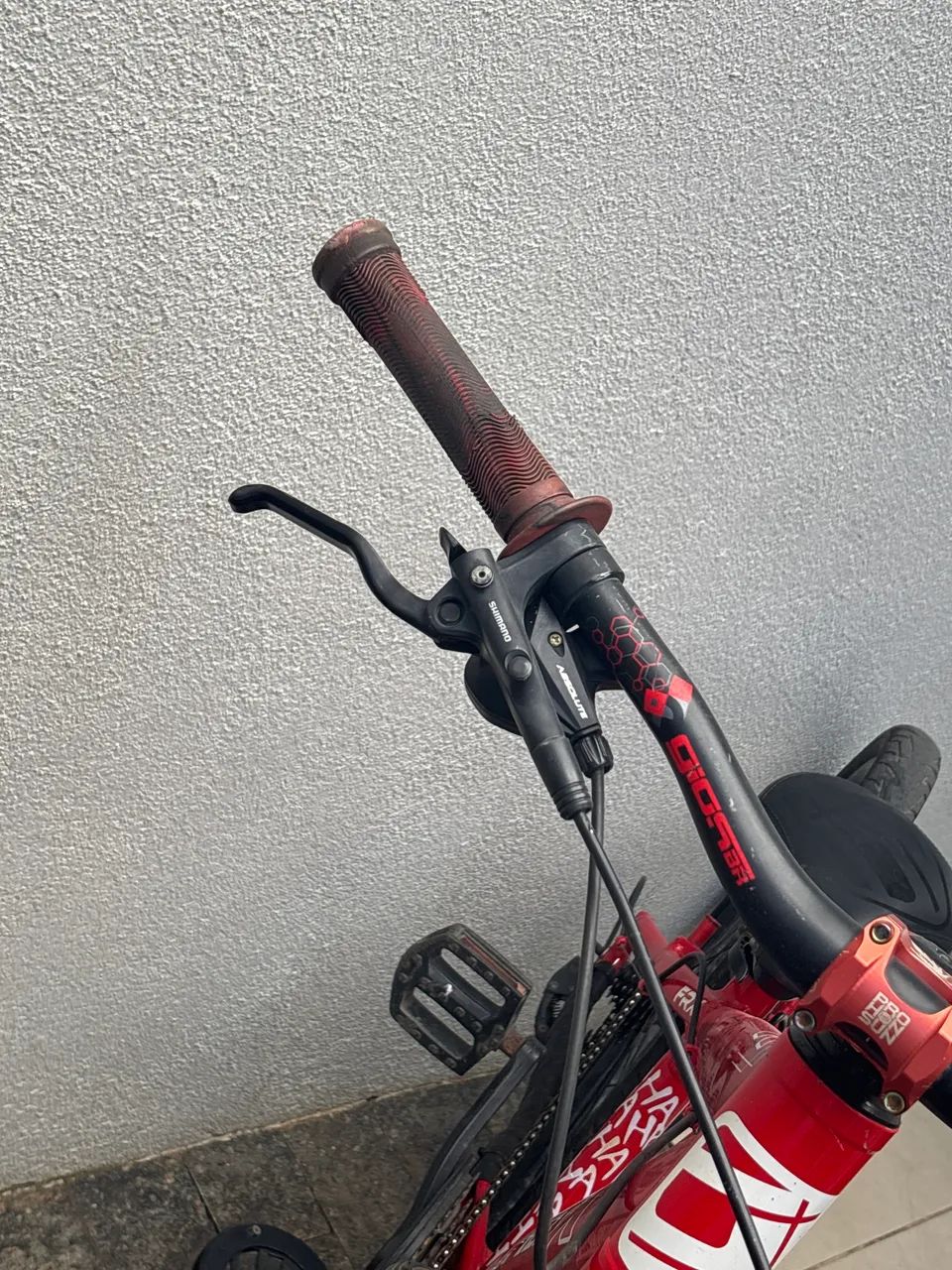 Gios vermelha - Foto 3