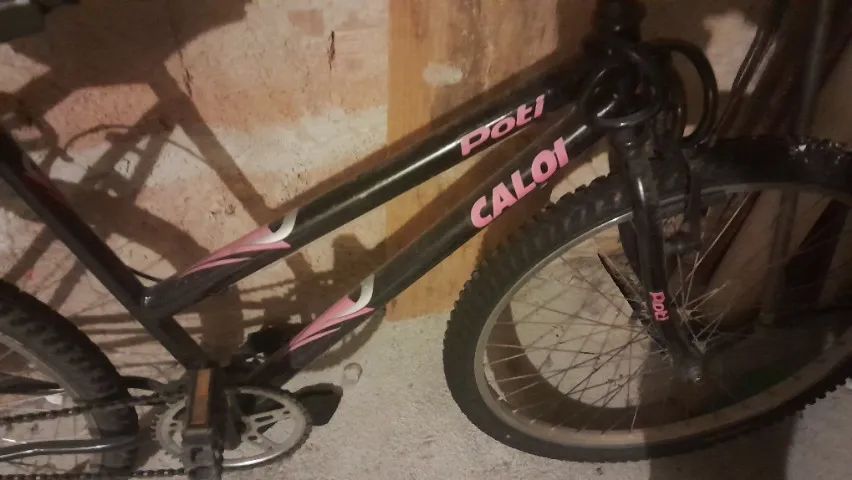 Bicicleta tipo poti