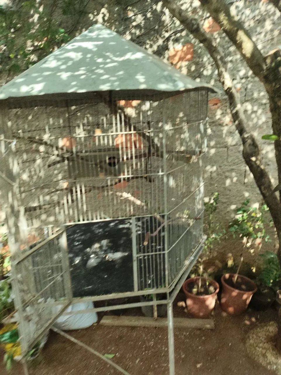 Gaiola para Aves. - Foto 3