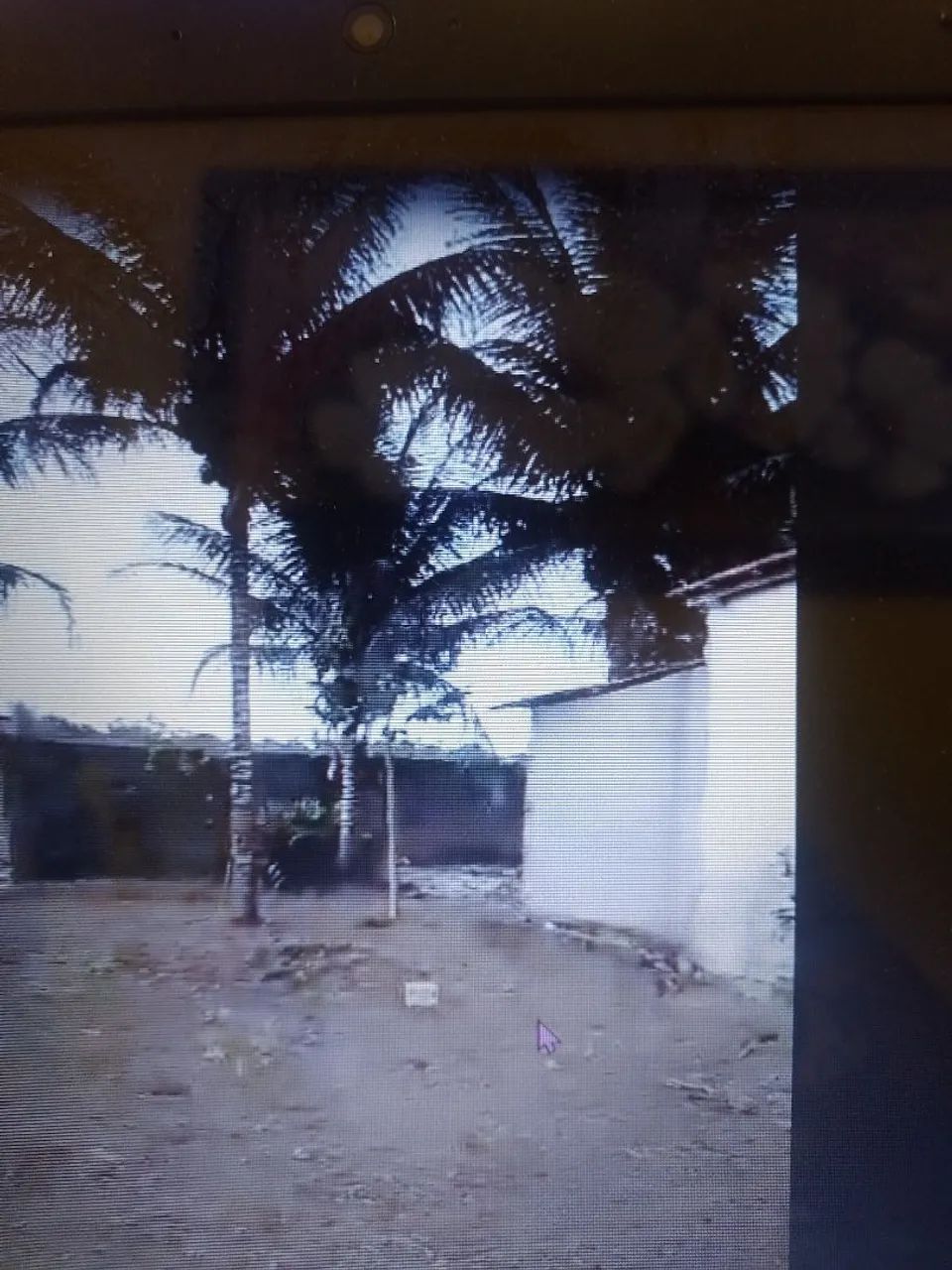 Vendo área na Tânia 400m   - Foto 4