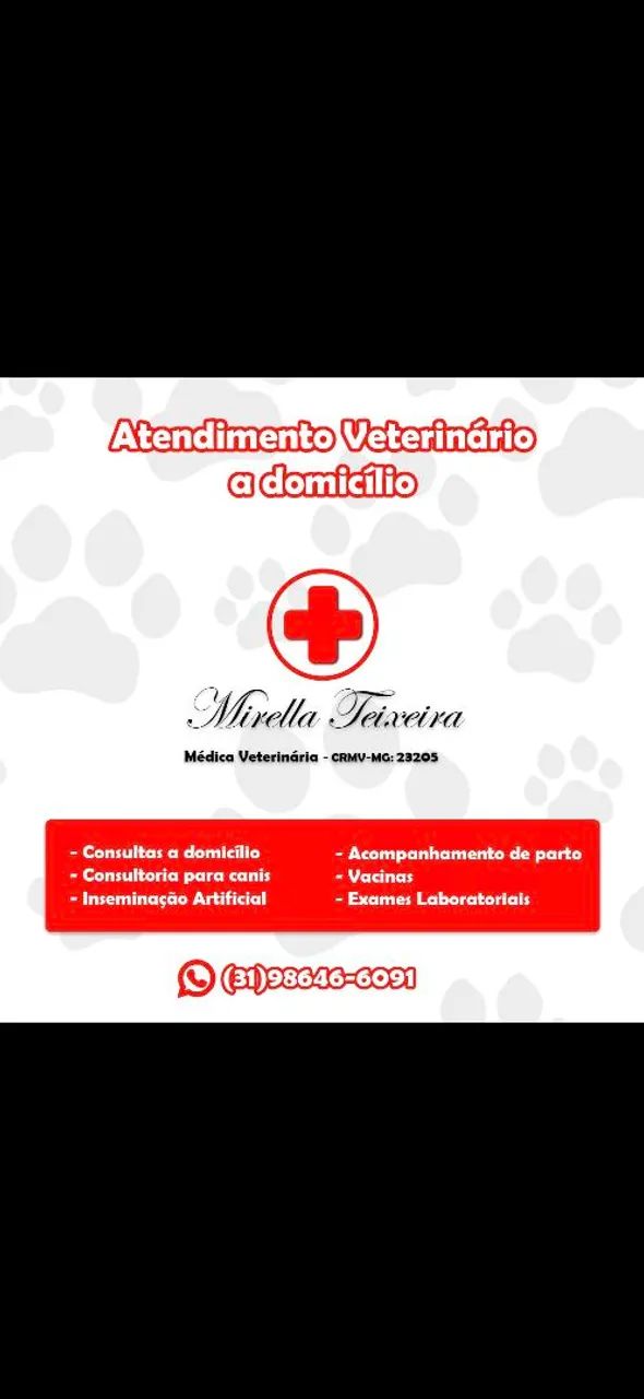 Atendimento Veterinário em Domicílio 