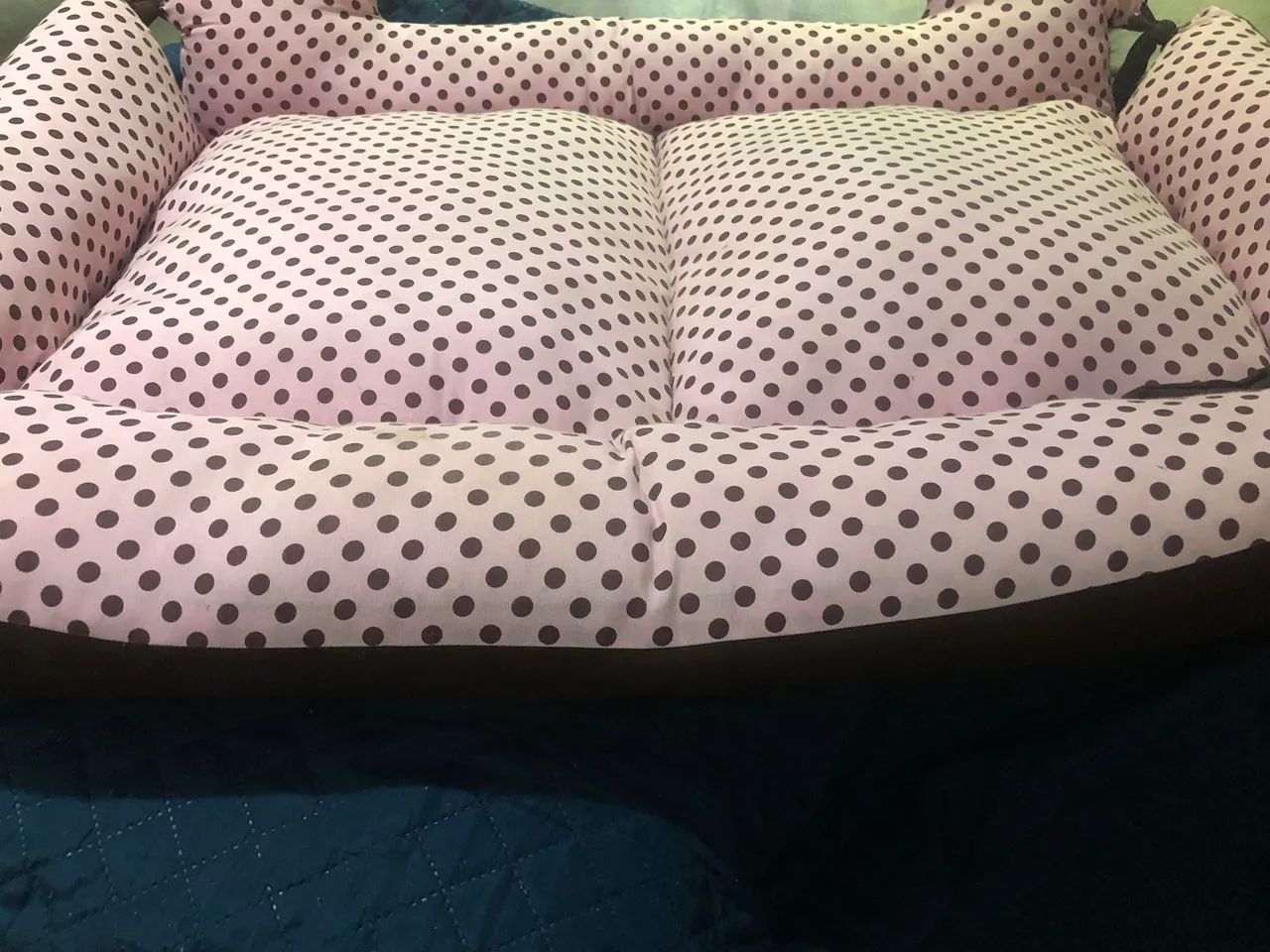 Para seu pet  - Foto 3