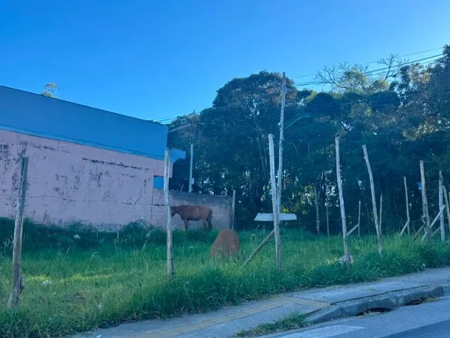 TERRENO EM TERRA PRETA (MAIRIPORÃ)