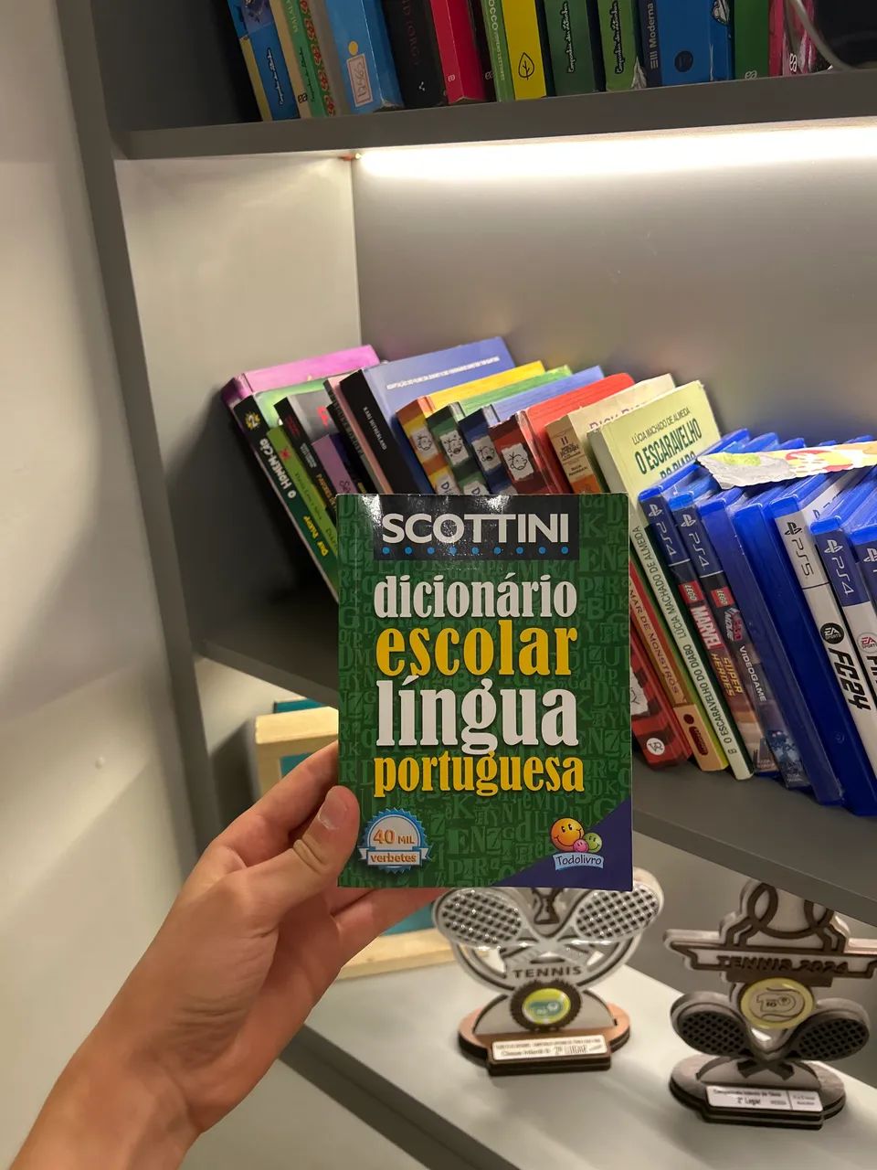 DICIONÁRIO ESCOLAR