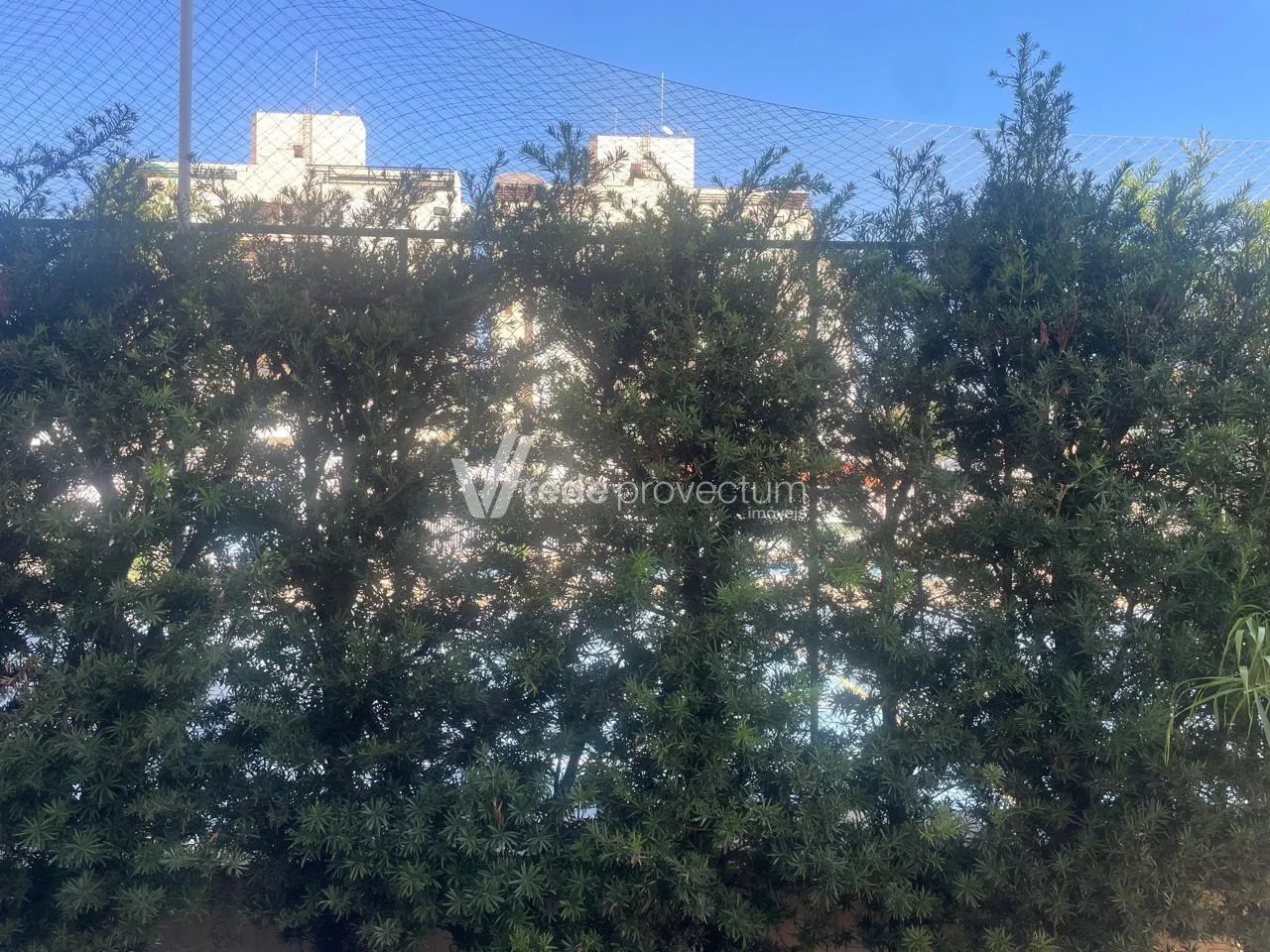 apartamento - Mansões Santo Antônio - Campinas - Foto 4