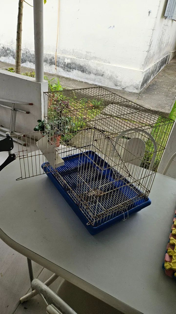 Gaiola para rato twister e semelhantes - Foto 4