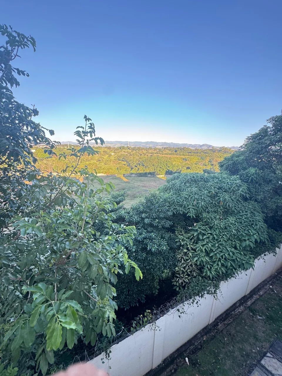 Venda  - Foto 5