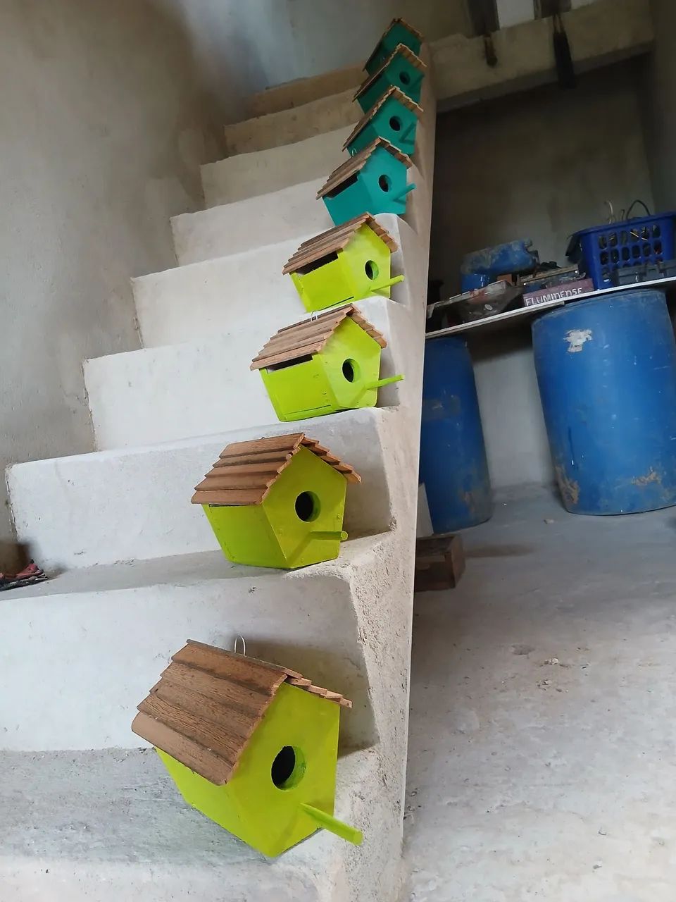 Ninhos de passarinho 