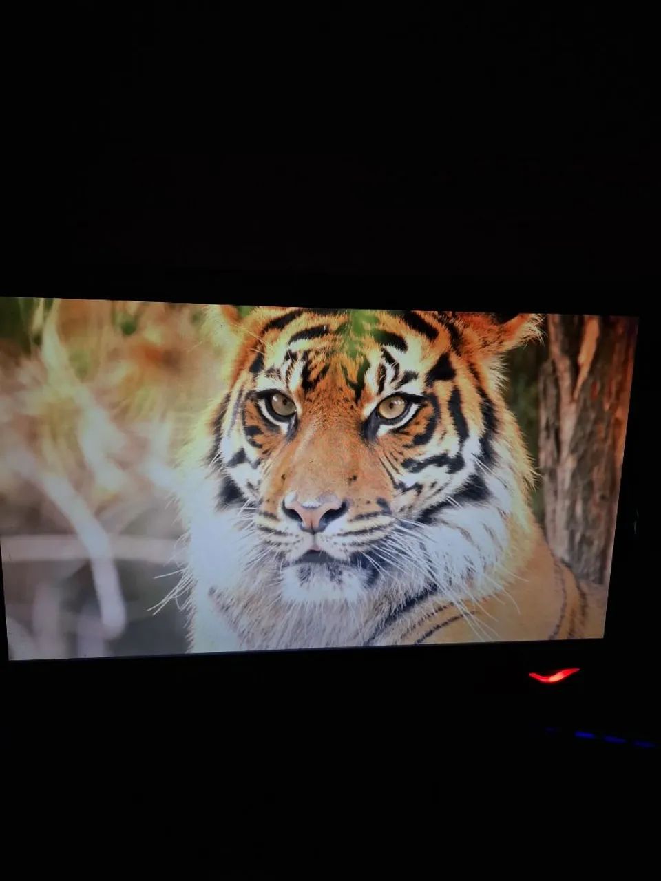 Monitor LG Flatron 