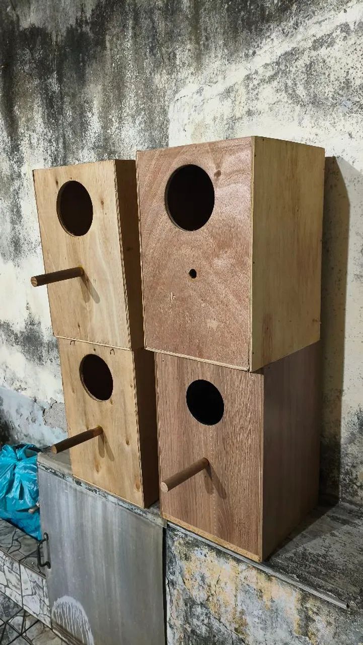 Ninhos para Ring Neck 