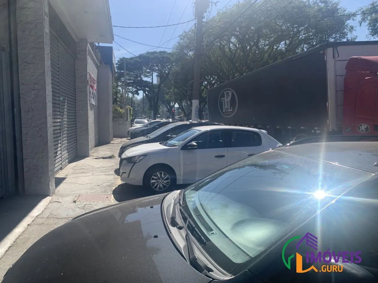 GALPÃO - LIMÃO - SP - Foto 3