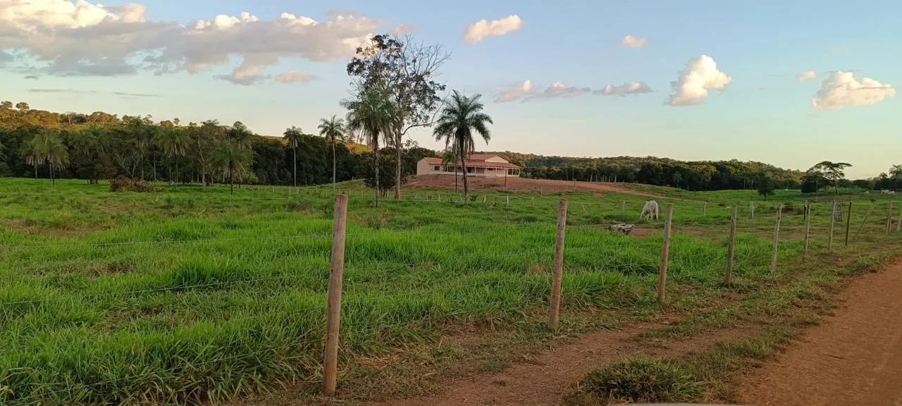 Fazenda com 155 alqueires a venda propriedade plana - Foto 2