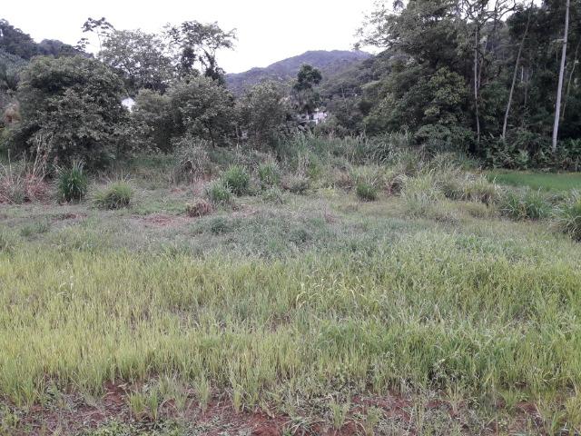 Sitio 23.000 mt² em Luiz Alves SC - Foto 20