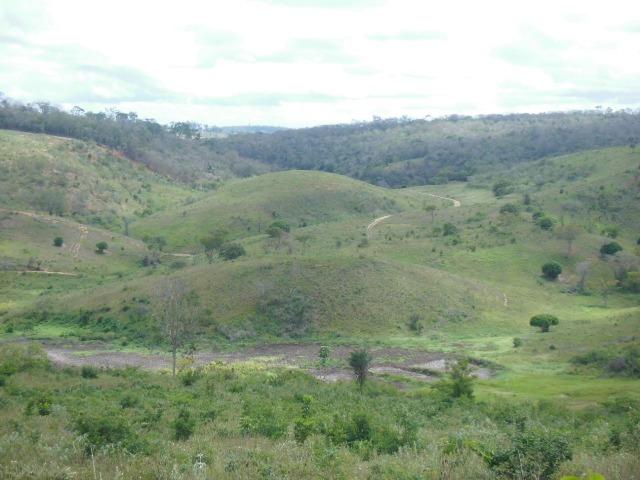 Fazenda em Mundo novo - Foto 2
