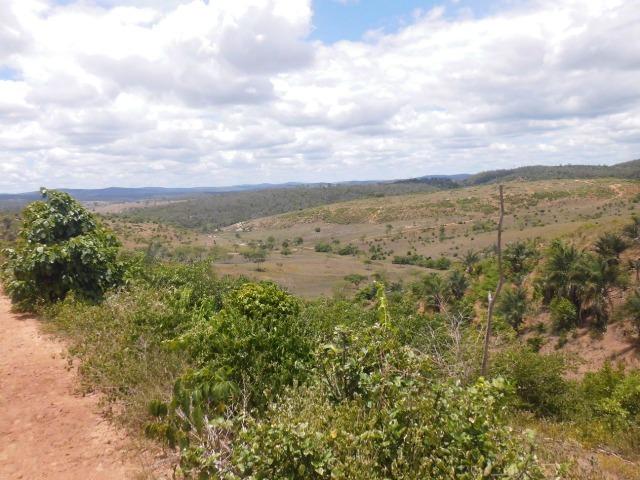Fazenda em Mundo novo - Foto 13