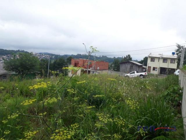 Terreno em caxias do sul - Foto 3