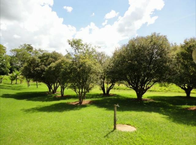 Fazenda 700 Alqueires - Região de Presidente Prudente-SP - Foto 14