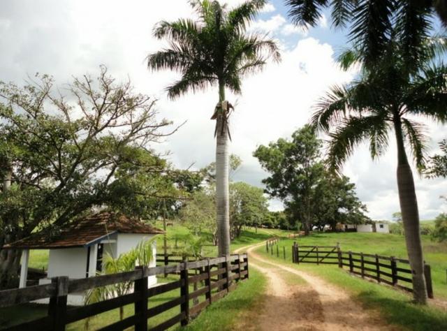 Fazenda 700 Alqueires - Região de Presidente Prudente-SP - Foto 12