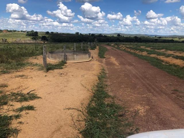 Fazenda em Paranatinga MT - Foto 9