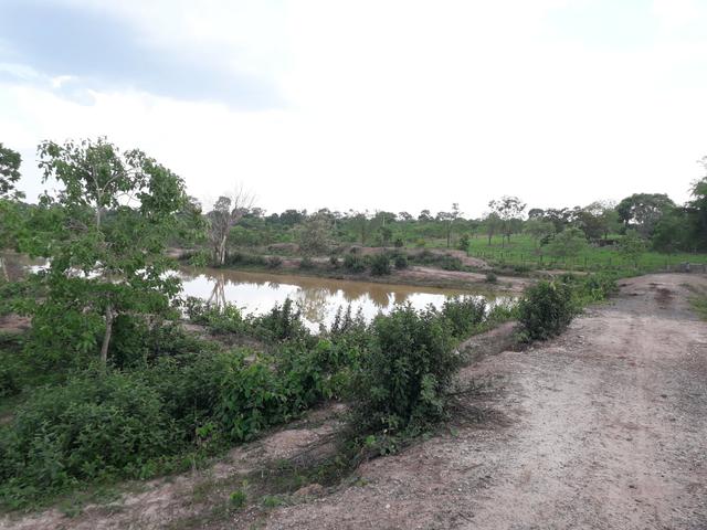 Sítio muito barato - Foto 11