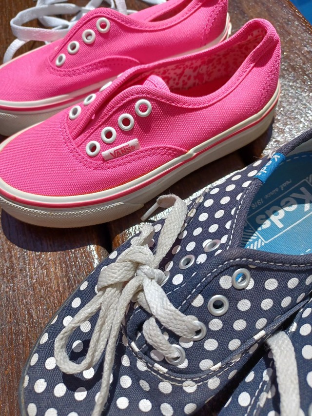 vans tipo keds