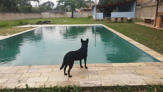 Sítio do Tio Jô ( Marambaia, Tinguá) - Foto 4