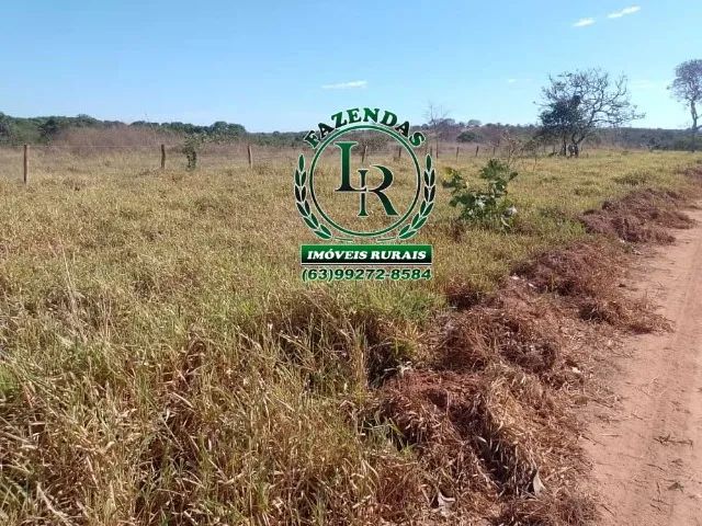 Fazenda 89 Alqueires Próximo a Palmas - Foto 3