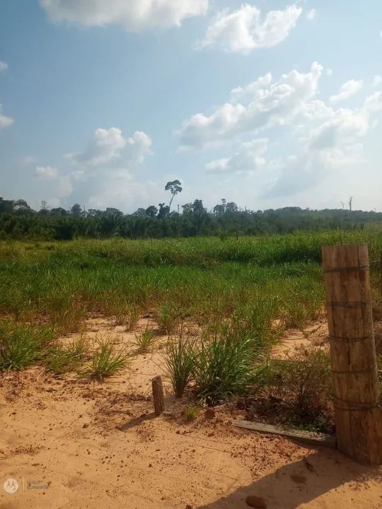 Moura Gestor Imobiliário Vende uma excelente área com 98ha na Rodovia BR 163, km 119, Mo - Foto 2