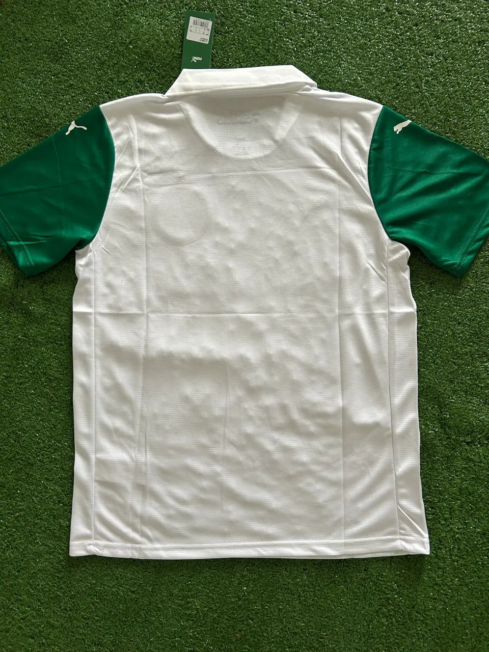 Palmeiras Reserva 2025 - Foto 4